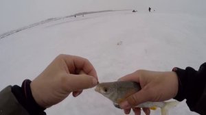 ПЛОТВА ЗИМОЙ НА МОРМЫШКУ! Ловля плотвы ,рыбалка на озере