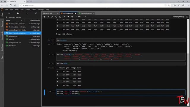 Cleaning Data In Python For Statistical Analysis Using Pandas, Big Data & Data Science For Beginner