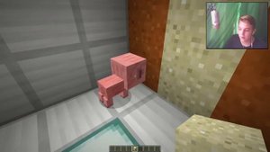 ?ТОП5 САМЫХ МИЛЫХ МОБОВ В МАЙНКРАФТЕ? ТопПВП [Minecraft]