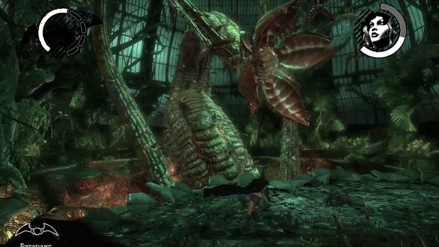 Прохождение игры Batman Arkham Asylum Часть 12 смотреть онлайн