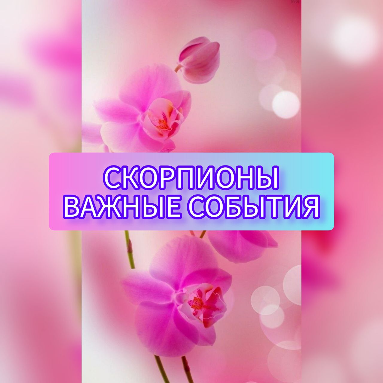 СКОРПИОНЫ. Какие новые ВОЗМОЖНОСТИ принесёт январь 2024 года?
