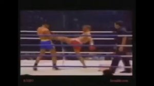 Чемпион мира по тайскому боксу (муай-тай)