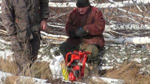 дрова на зиму подготовка к зиме жизнь в деревне  бензопилой