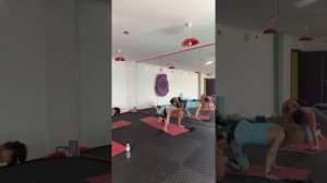 #Практика йоги для +/- #новичков. Мягкая #разминка и #подготовка к #каундиниасане  29.08.22