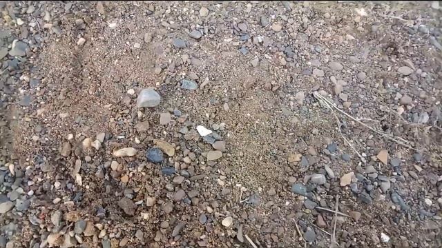 Самое ЛУЧШЕЕ БЕСПЛАТНОЕ УДОБРЕНИЕ для КОМНАТНЫХ РАСТЕНИЙ / Быстрый РОСТ / Свойства песка