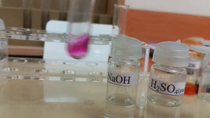 Химия.8 класс.Основания.Опыт щелочь+кислота.