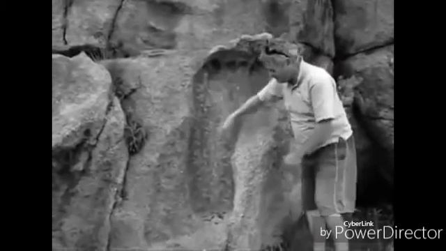 Динозавры в Исламе смотреть онлайн