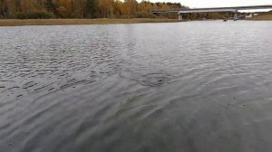 Осенняя рыбалка на Селигере на хищника