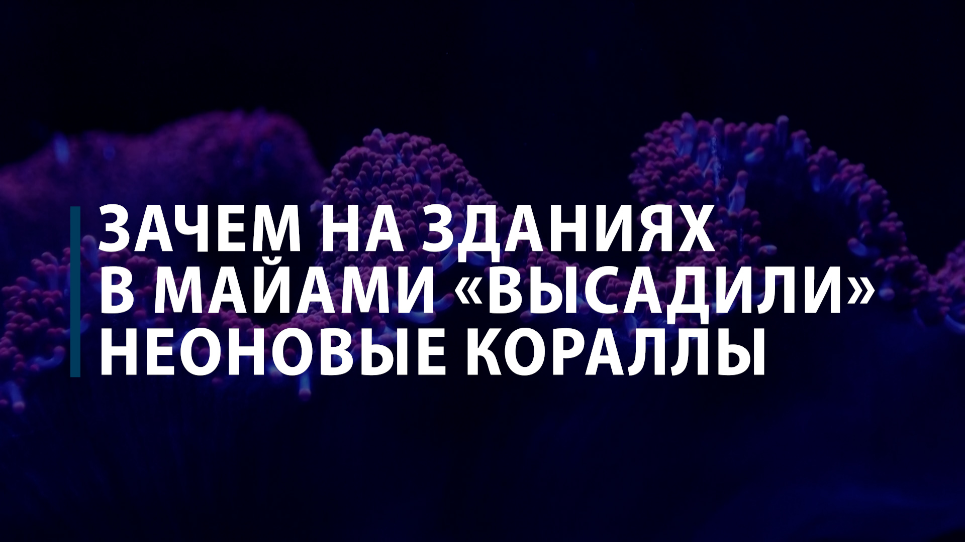 Зачем на зданиях в Майами «высадили» неоновые кораллы