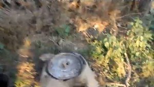 Обжиг глины простым способом