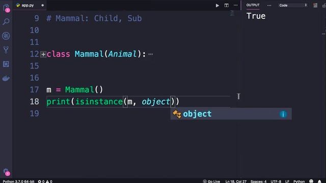 Python for Beginners: The Object Class