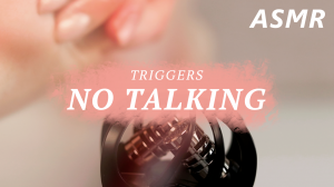 АСМР Триггеры без слов ASMR Triggers No Talking ZOOM h1n