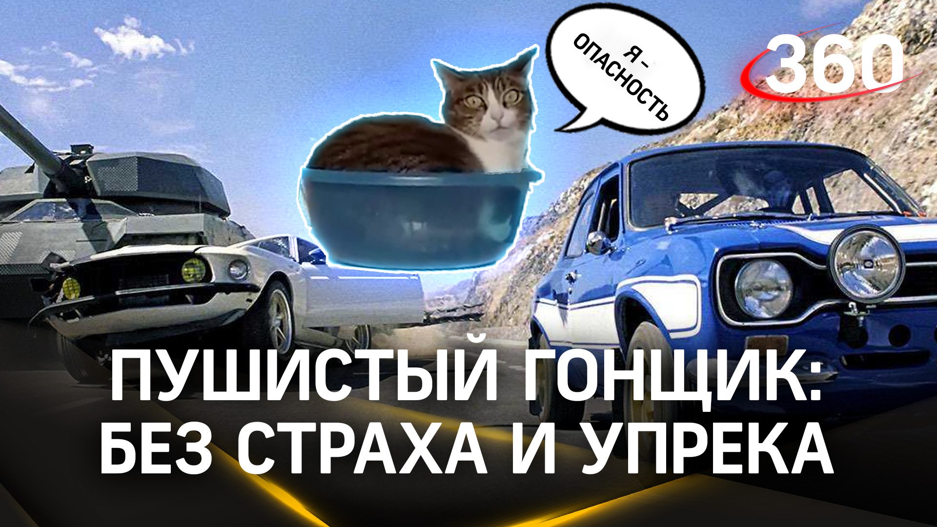 Кот устроил гонки на стиральной машине!