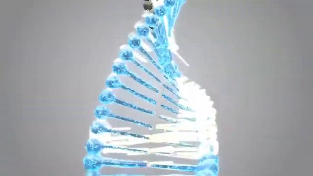 Пептиды Хавинсона - Khavinson Peptides
