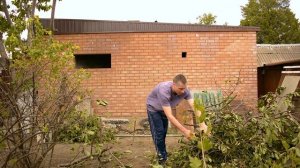 Поехал домой к родителям помогать спилить старое дерево