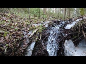 forest waterfall #shorts #short #russia #forest