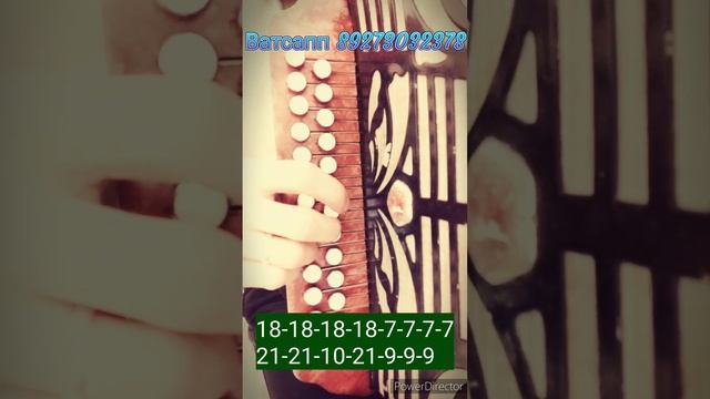 АЛА ЛИЕШ АЛА УКЕ - марийская песня. Разбор на гармони ЦИФРАМИ. Карим Муратов смотреть онлайн