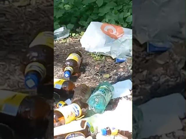 Ели и пили #комитетскийлес#пикникнаприроде#экология