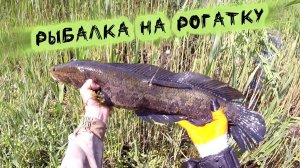 Рыбалка на Рогатку - Змееголов На Рогатку #top#змееголов#рыбалкасрогаткой#2024#headshot#fishing#1k