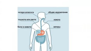 Часть 1.  Язва что и как