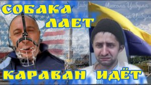 СОБАКА ЛАЕТ КАРАВАН ИДЕТ  #чатрулетка #чатрулеткароссия #чатрулеткаукраїна #россия #приколы #война