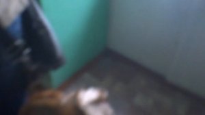 Электрический лифт (г. Ивантеевка), V=1 м-с, г-п 400 кг (6), музыкальный лифт КМЗ