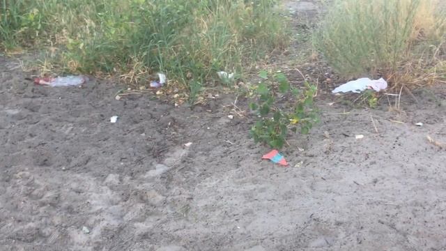 Черная Приречная - НеДетский пляж, Оболонь Киев