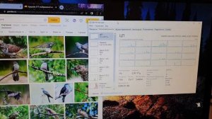 xeon 2666v3 андервольтинг за 30сек,без заморочек .часть 1
