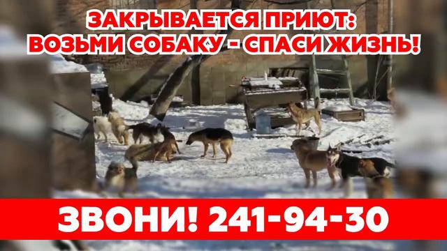 Закрывается приют смотреть онлайн