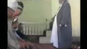 Мулохои Зинокорон