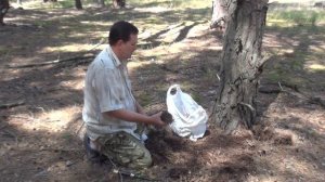 Как улучшить почву на садовом участке? Чем заменить торф?