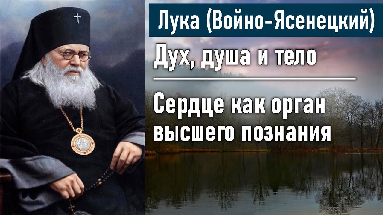 Сердце как орган высшего познания. Глава 2 / Лука (Войно-Ясенецкий). Дух, душа и тело