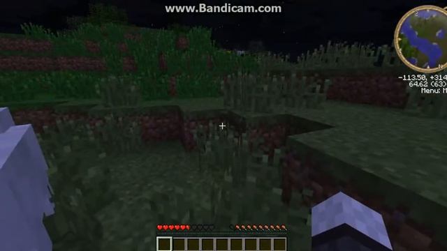 my minecraft server ip смотреть онлайн