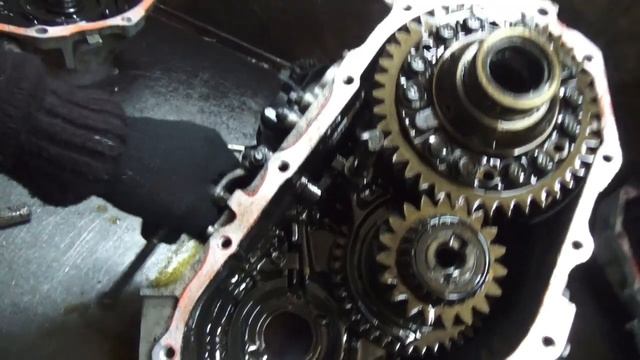 Хотели РАЗДАТКУ -Получите ! ТЛК 105 часть 1 смотреть онлайн