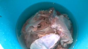 Как замориновать зайчатину ,шашлык из зайца.