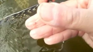 Поиск украшений на пляже! Finding jewelry on the beach!