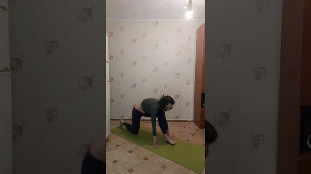 Комплекс упражнений хатха йоги при сидячей работе смотреть онлайн