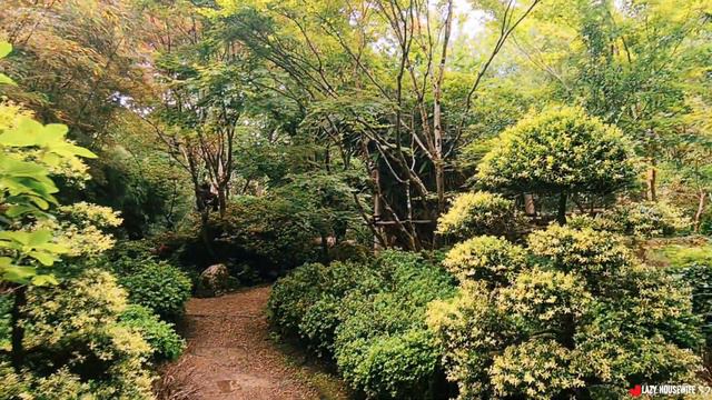 034: THE JAPANESE GARDEN || NEWQUAY TOUR- PART 2 || CORNWALL|| SUMMER HOLIDAYS||@LazyHousewife2020 смотреть онлайн