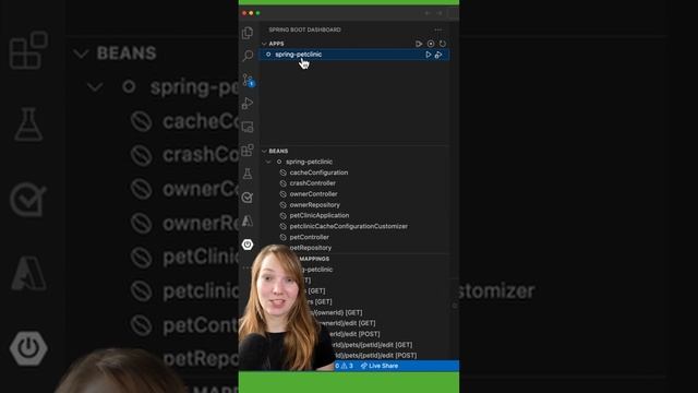 Spring Beans in VS Code ?