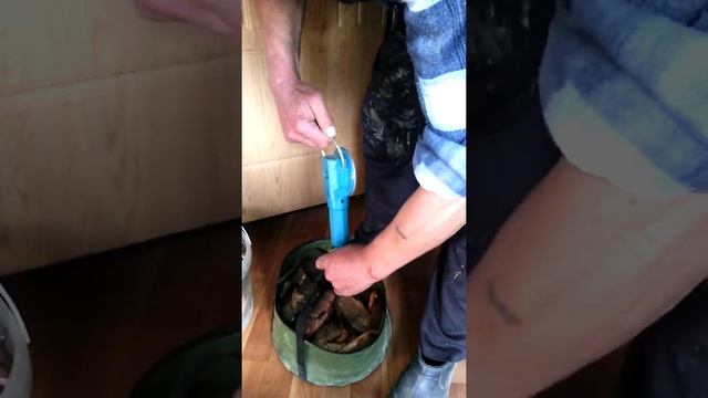 Ставропольский край река Егорлык с.Птичье.Апрель !2016 г. Взвешивание пойманой рыбы!!! смотреть онлайн