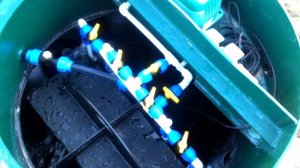 Станция Спарта. Биологическая очистка.