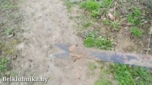 Сорт клубники _Фриго__ Как правильно посадить саженцы клубники Фриго. Belklubnika.by.mp4