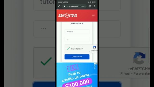 SSHSTORES смотреть онлайн
