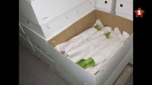 Советские эксперименты с растениями в космосе. Первая часть.