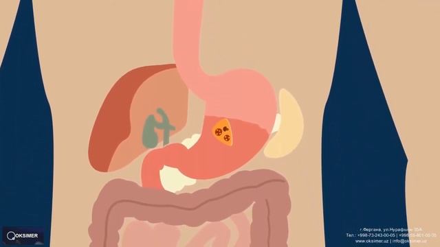 Роль кислорода в организме человека смотреть онлайн