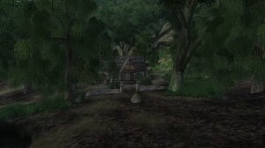 КВЕСТЫ КОТОРЫЕ ВЫ МОГЛИ ПРОПУСТИТЬ В OBLIVION | СЕКРЕТЫ The Elder Scrolls IV: Oblivion