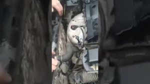 как менят радиатор на ситроен ксаро пикассо