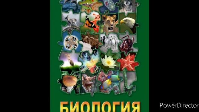 #8 Систематика растений и животных. Биология 7 кл.