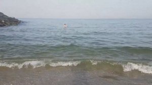 Дикий пляж в Фуджейре рядом с санди бич