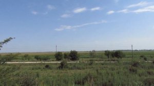 Рыбалка на карася!  на оросительном канале в Краснодарском крае.